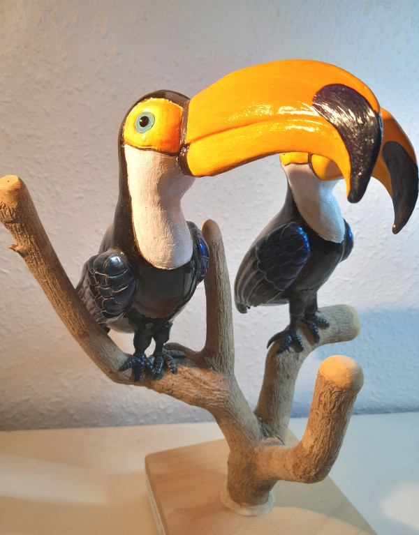 Two Toucans