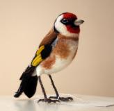 Goldfinch